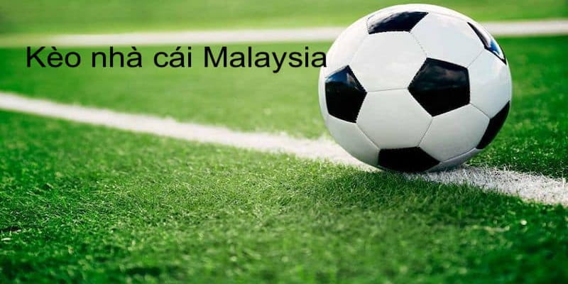 Tỷ lệ kèo Malaysia Cách đọc tỷ lệ kèo Malaysia chuẩn xác