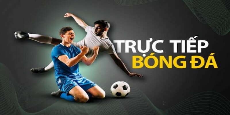 Cách tận dụng tối đa lợi ích từ Socolive khi chơi casino