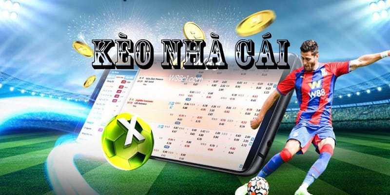 Cam kết bảo mật và minh bạch thông tin