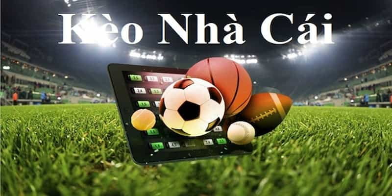 Tầm nhìn chiến lược và định hướng phát triển bền vững